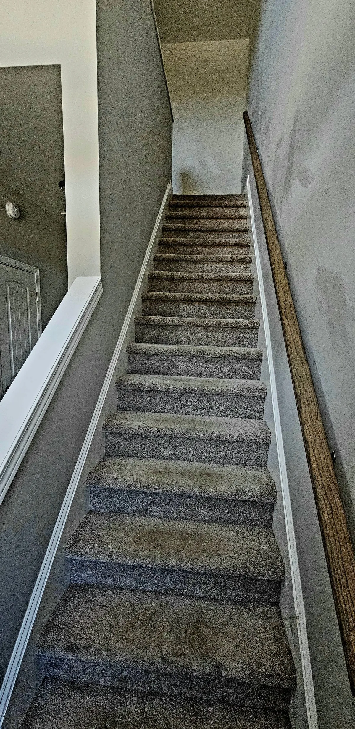 The interior shot captures a well-lit entryway, highlighting the staircase, attractive wall textures, and sturdy handrail. This transitional space demonstrates the thoughtful design and comfort present from the moment one steps inside the property.