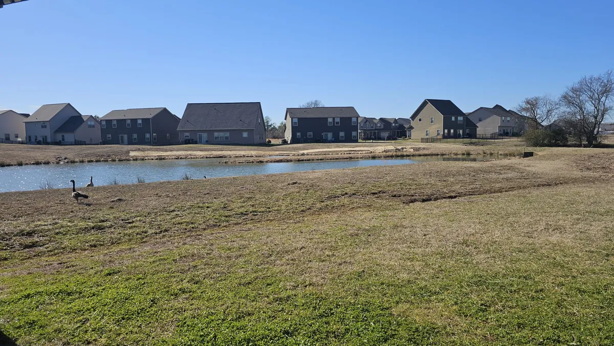 A tranquil view of a pond with geese gliding across the water, surrounded by residential houses. The serene setting captures the natural beauty of the neighborhood, where families can enjoy walks, bird watching, or picnics in a peaceful outdoor environment.